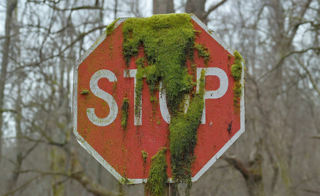 Algae Covered Stop Sign